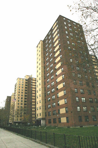 Public housing towers of the Tilden Houses in Brownsville, Brooklyn