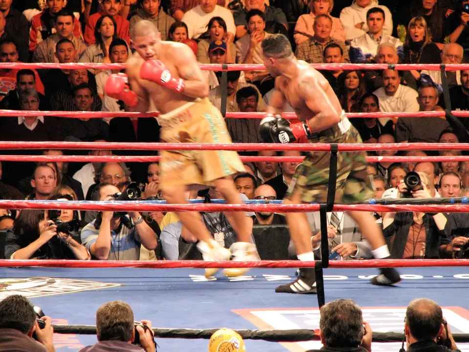 Fernando Vargas and Ricardo Mayorga boxing in the ring