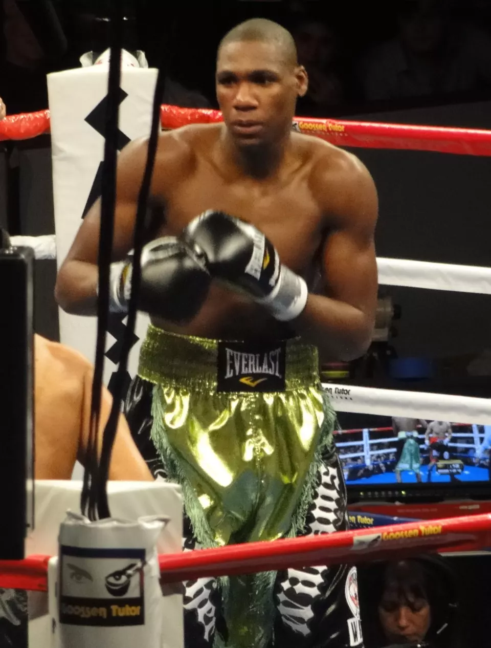 Boxer Paul Williams in Atlantic City in November 2010